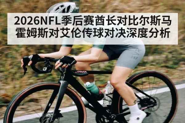 2026NFL季后赛酋长对比尔斯马霍姆斯对艾伦传球对决深度分析