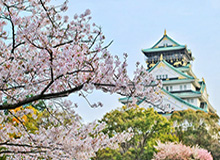 北京单场奖金计算器-纽约变第一灾区！最繁华都市重创 NBA重启成空谈？